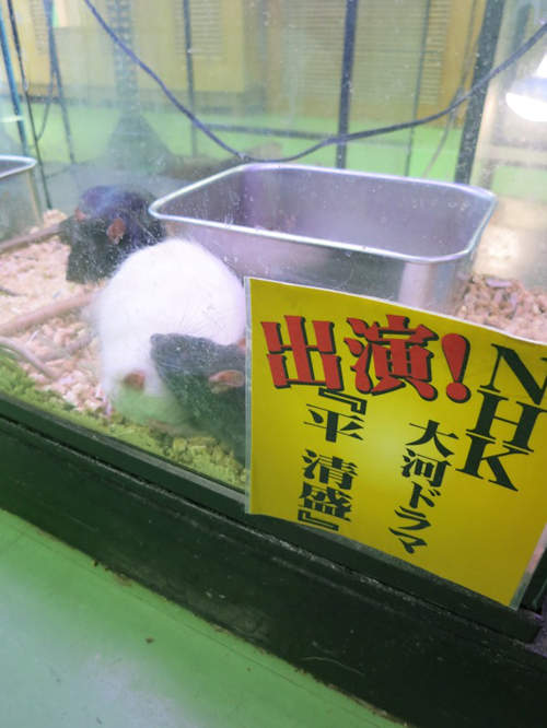 圖片7 圖片7