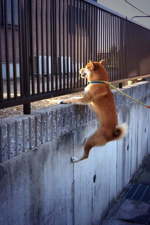 圖片4 圖片4