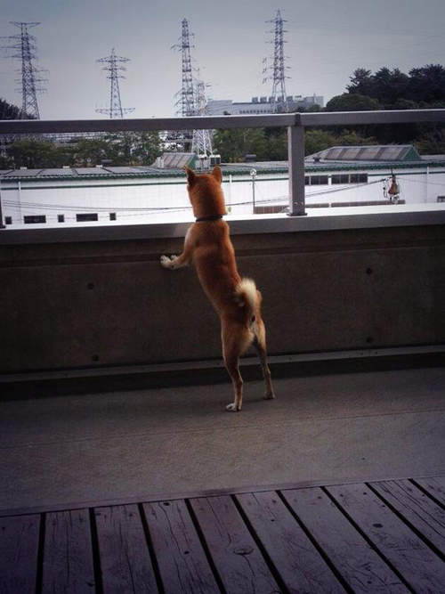 圖片7 圖片7
