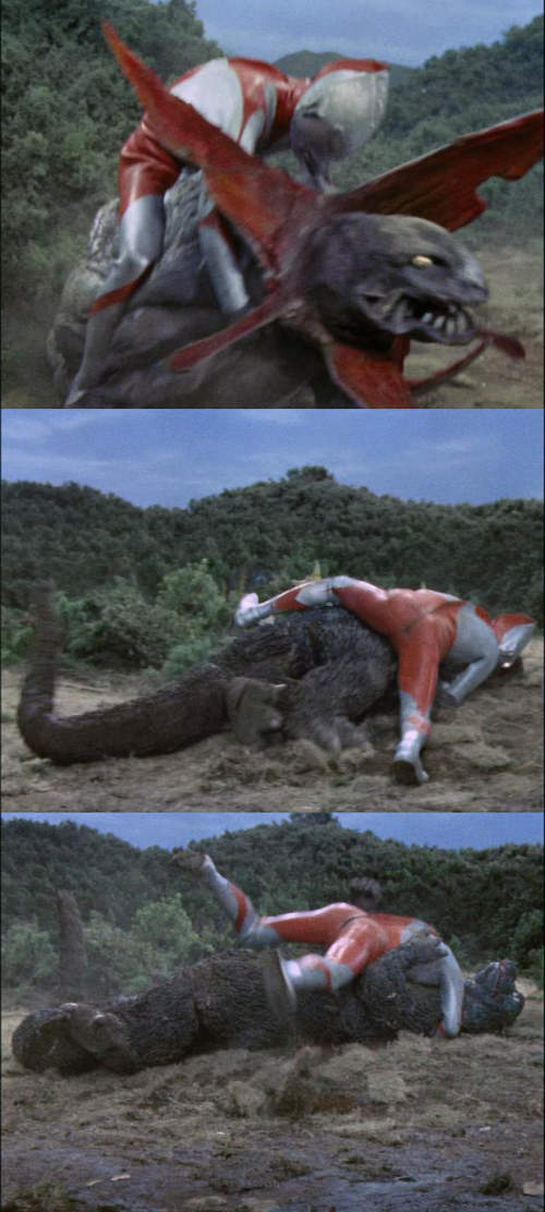 圖片10 圖片10