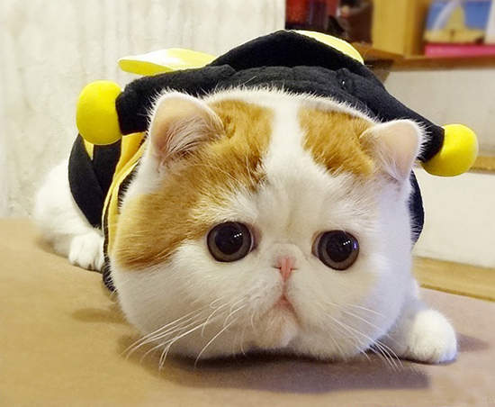 圖片13 圖片13