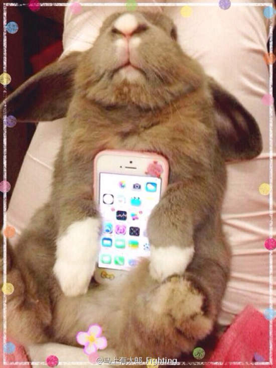 圖片6 圖片6