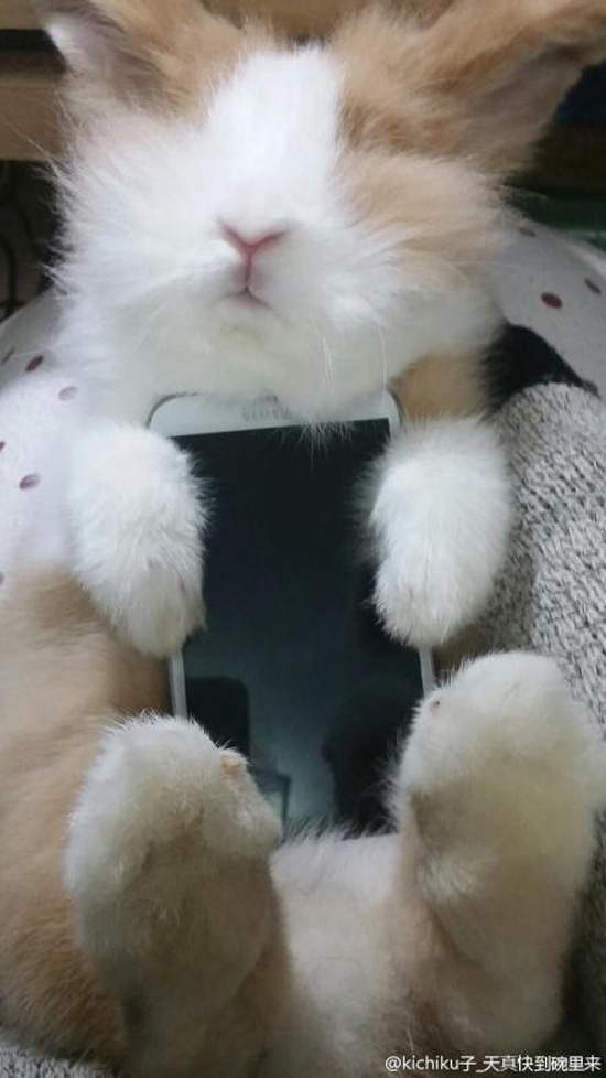 圖片9 圖片9