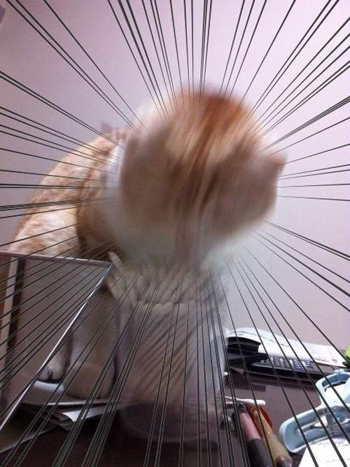 圖片4 圖片4