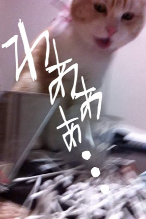 圖片7 圖片7