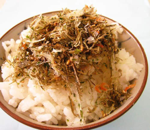 圖片13 圖片13