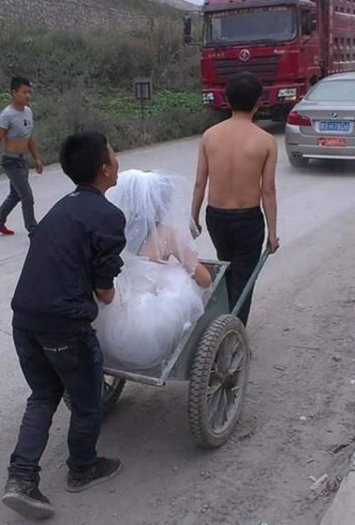 圖片5 圖片5