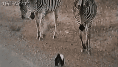 圖片4 圖片4