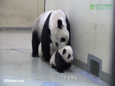 圖片18 圖片18