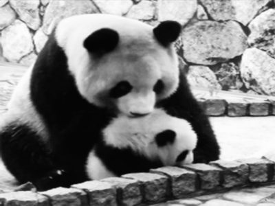 圖片20 圖片20