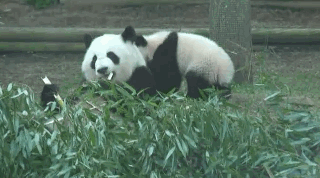 圖片6 圖片6