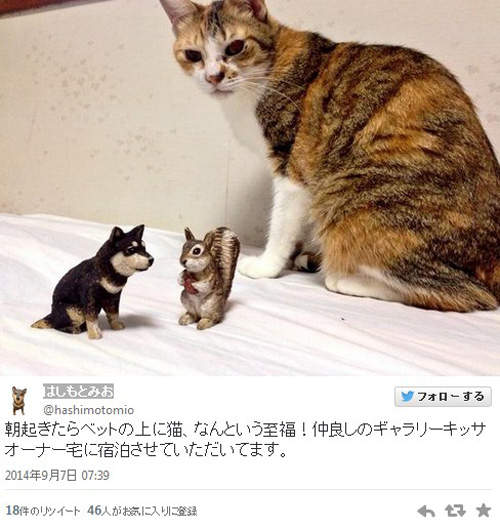 圖片5 圖片5