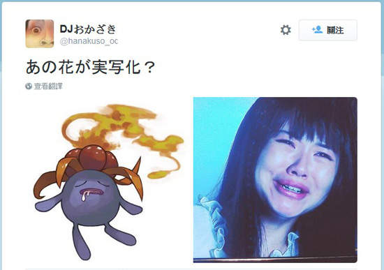 圖片6 圖片6