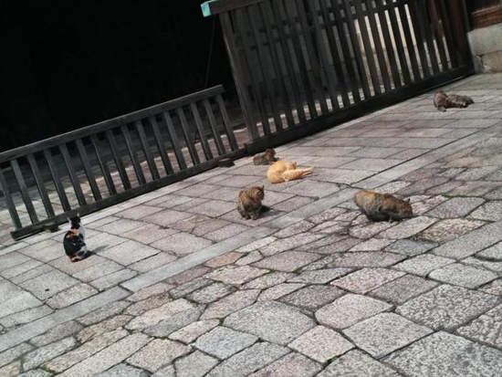 圖片4 圖片4