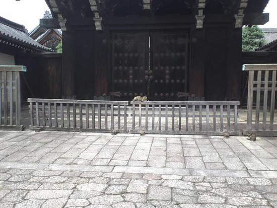 圖片6 圖片6