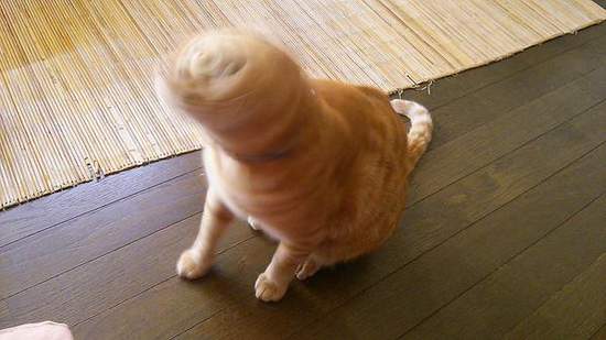 圖片12 圖片12