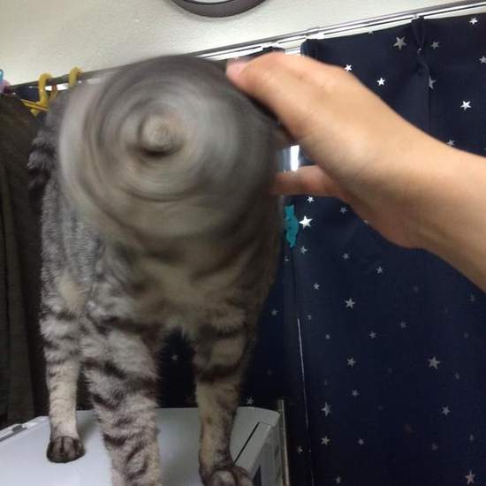 圖片7 圖片7