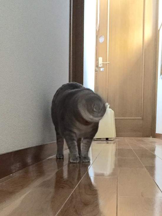 圖片8 圖片8