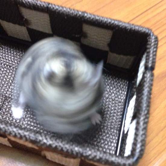 圖片19 圖片19