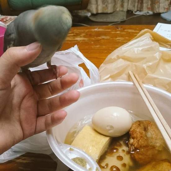 圖片21 圖片21