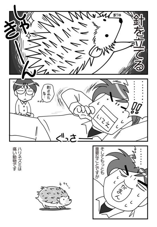 圖片4 圖片4