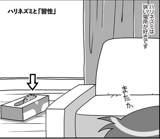 圖片5 圖片5