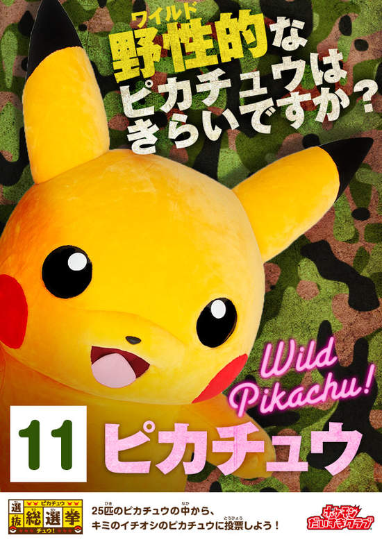 圖片12 圖片12