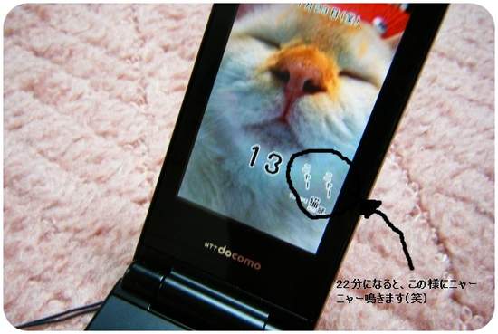 圖片11 圖片11