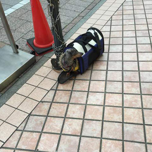 圖片12 圖片12