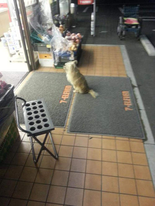 圖片13 圖片13