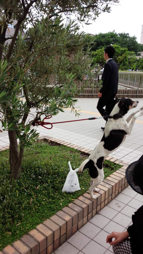 圖片15 圖片15