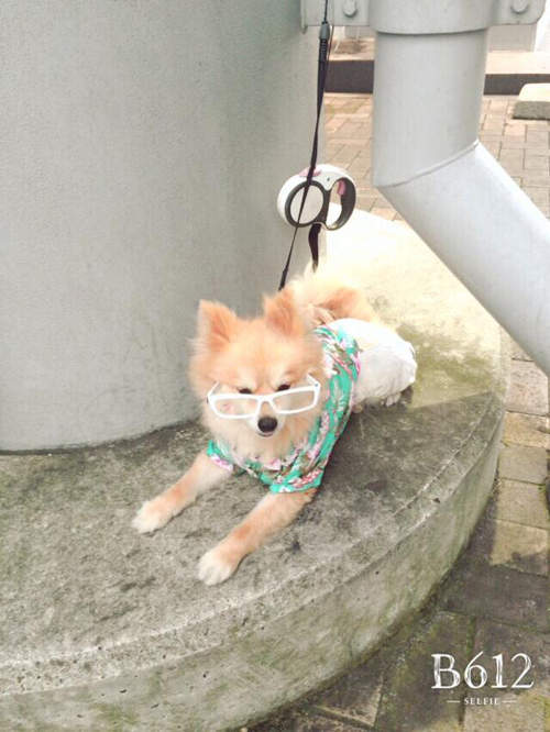 圖片9 圖片9