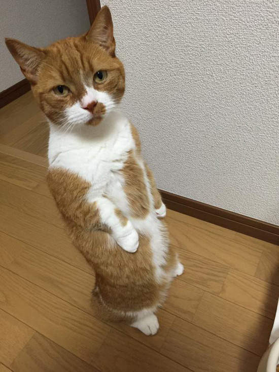 圖片4 圖片4