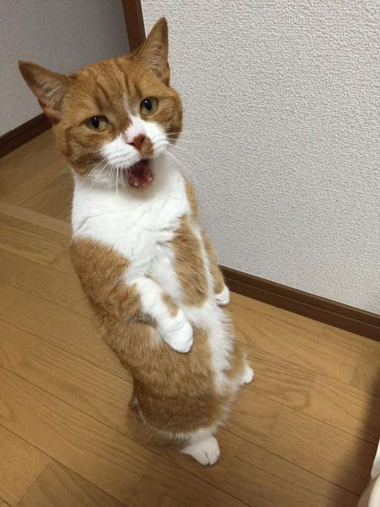 圖片5 圖片5