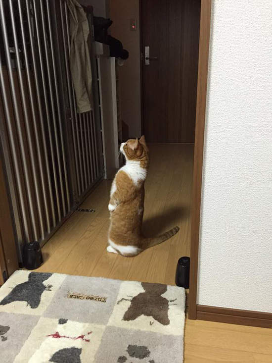 圖片6 圖片6