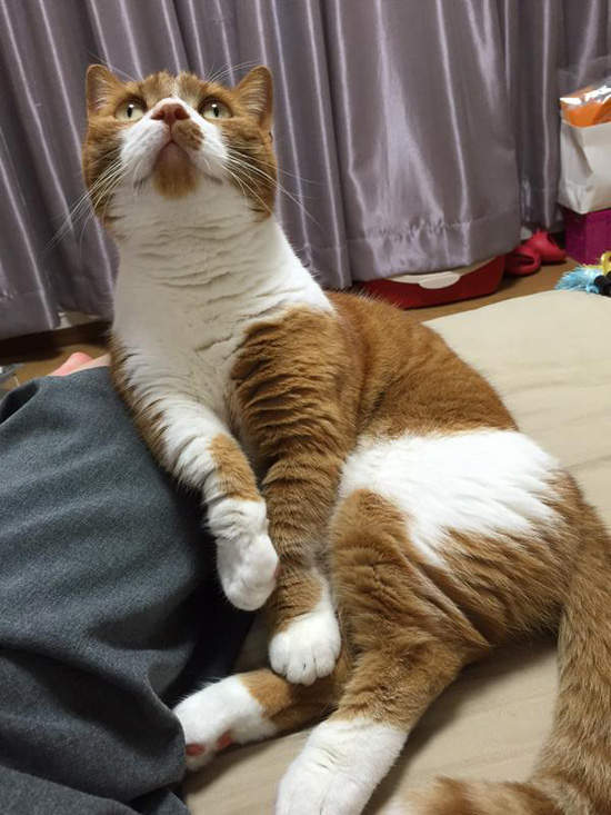 圖片7 圖片7