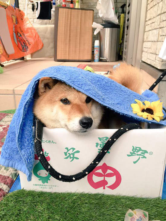 圖片4 圖片4