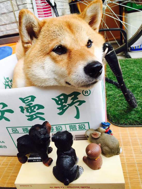 圖片7 圖片7