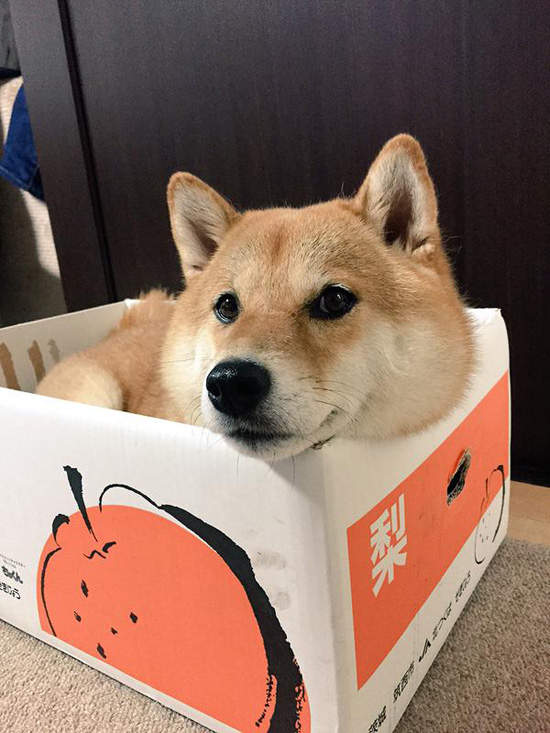 圖片13 圖片13