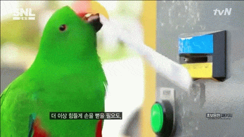 圖片13 圖片13