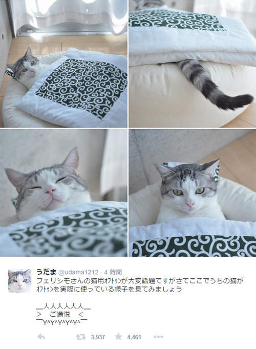 圖片8 圖片8