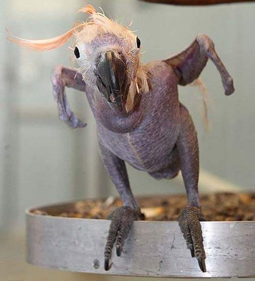 圖片9 圖片9