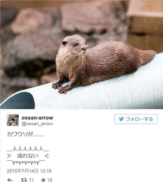 圖片9 圖片9