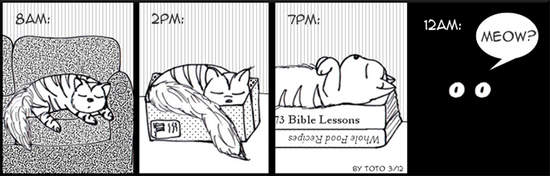 圖片14 圖片14