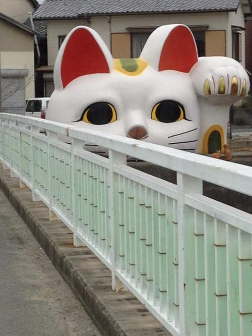 圖片5 圖片5