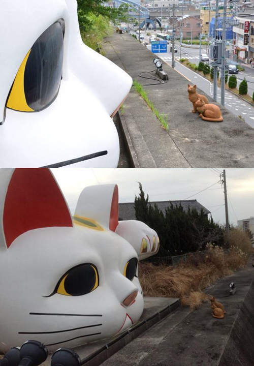 圖片8 圖片8