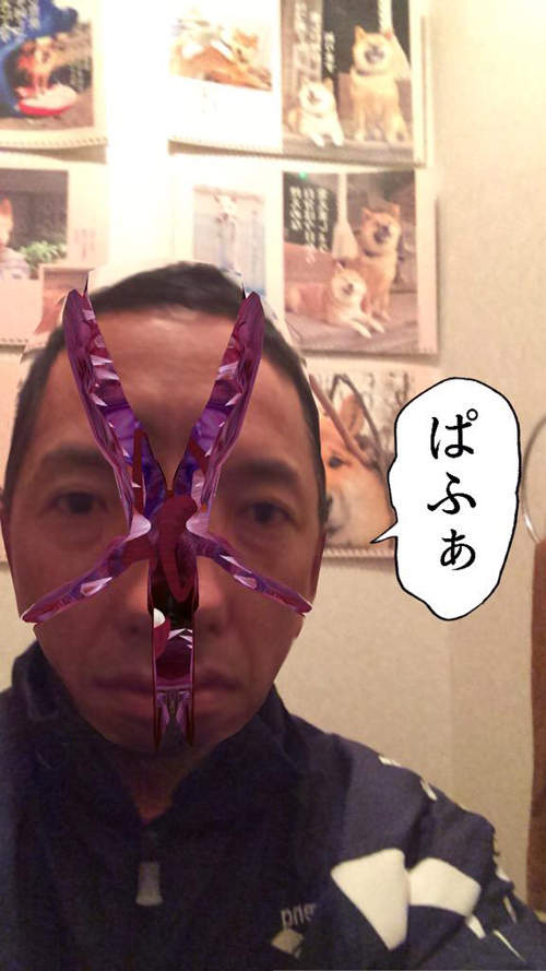 圖片6 圖片6