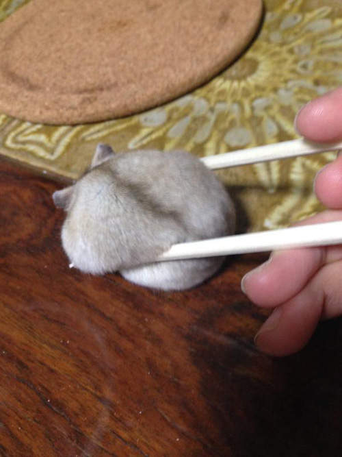 圖片10 圖片10