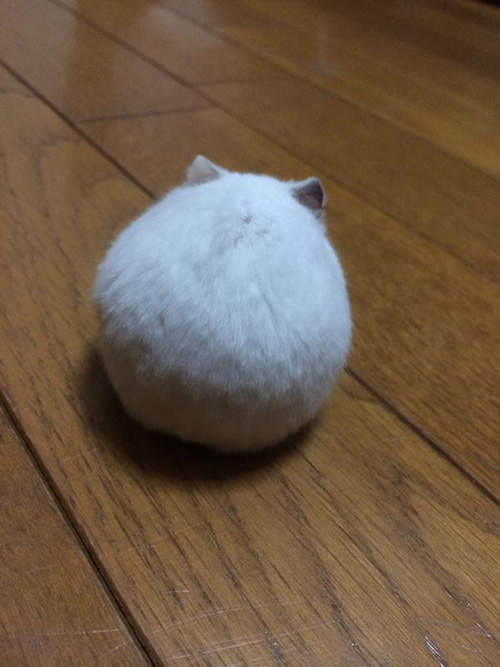 圖片7 圖片7