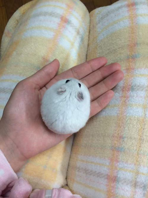 圖片8 圖片8